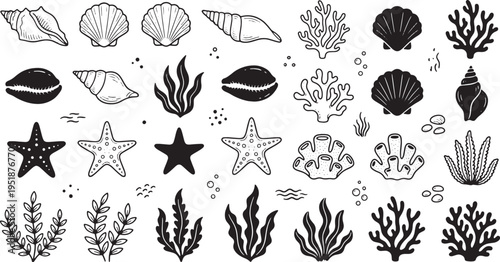 Hand drawn illustration of coral reef and seaweed in an aquarium setting perfect for marine biology oceanography or underwater themed designs