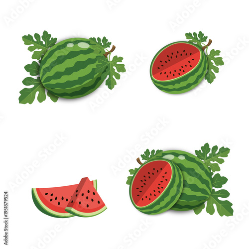 Fresh Watermelon Fruit vector Set with Slices, Seeds, and Green Leaves, Vibrant Summer Vector Illustrations
