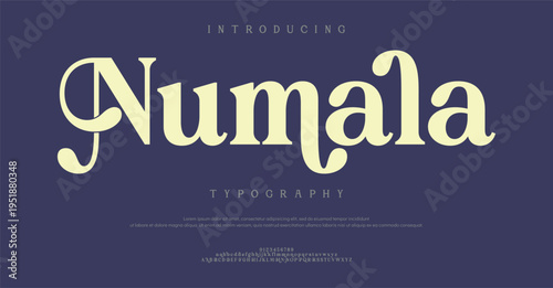 Introducing Numala Typography Font Design