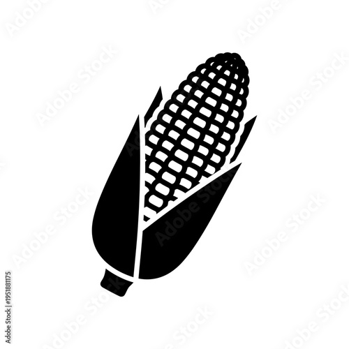 Fresh ripe corn cob with husk on white background minimalist food photography