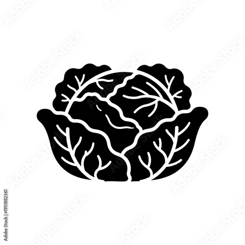 Hand drawn kale leaf illustration isolated on white minimalist healthy vegetable