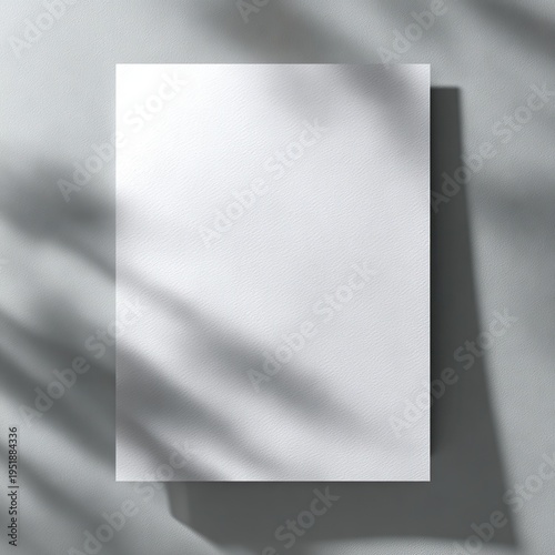 Clean white rectangular card sits on a muted gray background under plant shadows