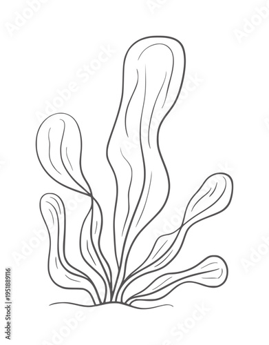 Simple black and white line of seaweed growing from sand ocean plant nature