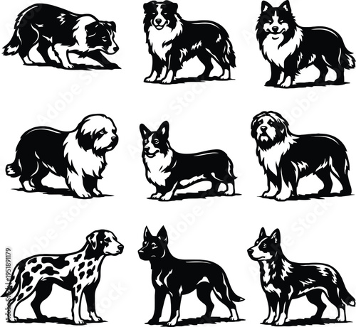 herding dog breed vector set for t-shirt design