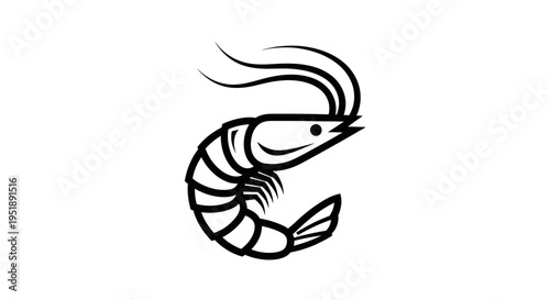 Stylized Black and White Shrimp Outline Illustration.