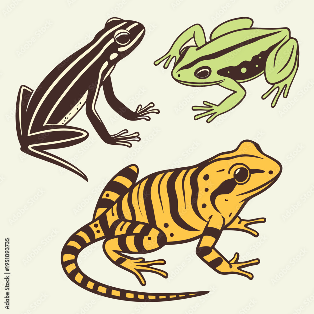 Fototapeta premium Set of three colorful tropical frogs illustration