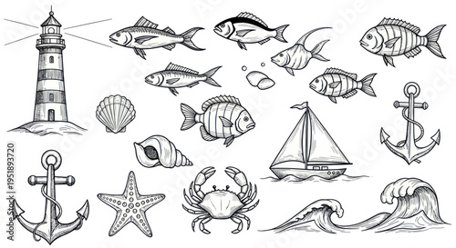Hand Drawn Vintage Nautical and Marine Life Elements Set.