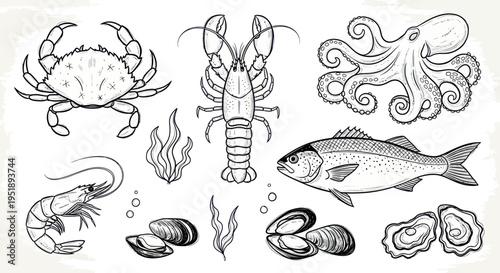 Hand-drawn seafood collection with various marine animals and shellfish.
