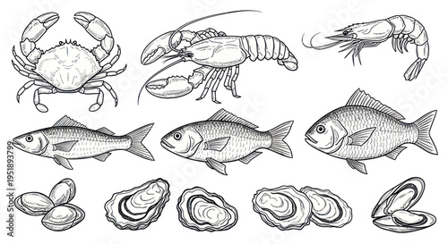 Hand-drawn sketch illustration of various fresh seafood items.