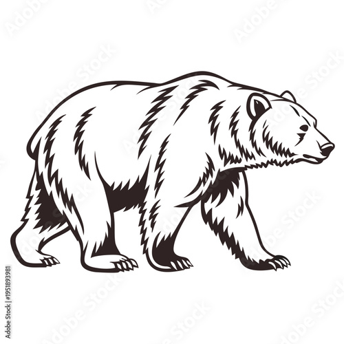 Black and white illustration of a walking grizzly bear