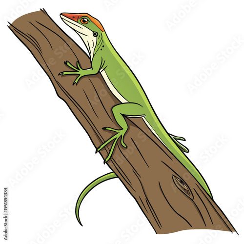 Illustration of a green lizard with a red head climbing on a tree branch