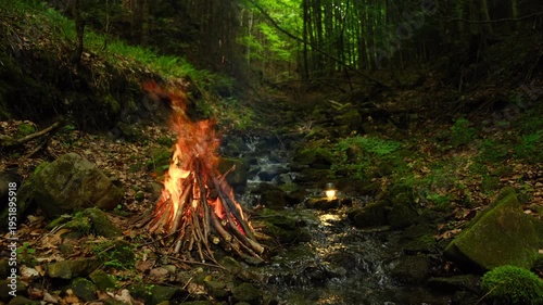 Cozy campfire and forest small stream. Calm bonfire, burning old wood in autumn time. Active lifestyle, traveling, hiking. Camping vibes and outdoor lifestyle mood