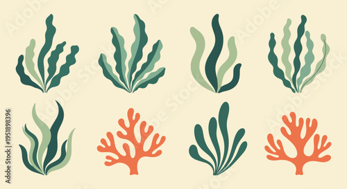 Decorative set of sea plants for surface design features seaweed and coral providing a natural touch to any project with its flowing lines and calming colors for creative designs and art