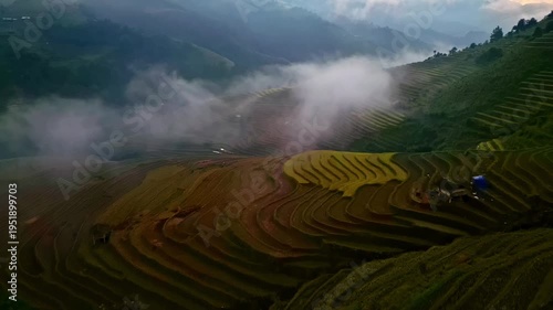 Aerial drone footage of vietnamese rice terraces in the mountains