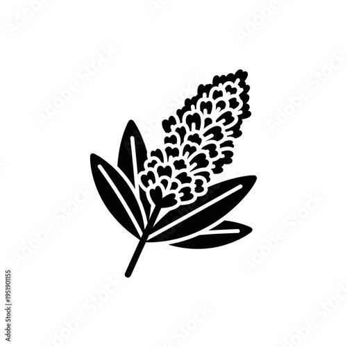 Lavender sprig illustration minimalist black and white botanical line art