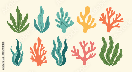 Decorative Array of Aquatic Flora Displaying Various Shapes and Textures Suitable for Nautical Themes and Creative Projects Featuring Colorful and Unique Designs Encouraging Exploration 183