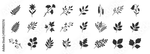 Set of 25 different black floral and botanical leaf icons vector artwork on transparent background