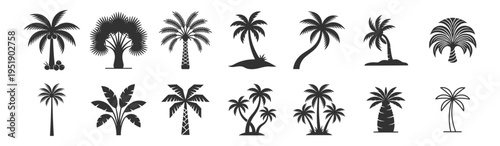 (Adobe Illustrator Artwork)