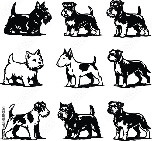 Terrier dog breeds full body black and white vector set