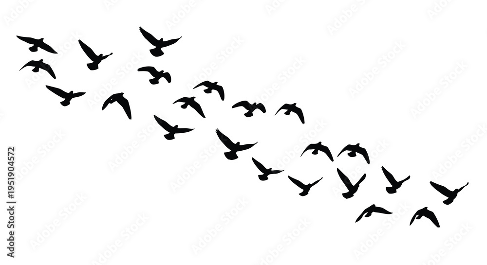 Obraz premium A flock of birds is depicted in flight forming a v shaped pattern against a plain white background high quality