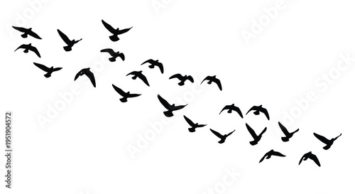 A flock of birds is depicted in flight forming a v shaped pattern against a plain white background high quality