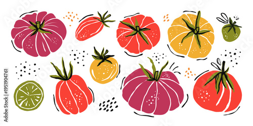 Tomato Illustration Set Hand Drawn Fresh Vegetables Whole And Sliced Cherry Heirloom Grape Plum Tomatoes Collection Organic Food Vector Isolated