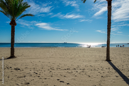Postiguet Beach in Alicante with Palm Trees and Sea Views