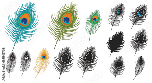 Colorful Feather Assortment Displayed on a Plain Surface Depicting Delicate and Ornate Plumage from Exotic Birds Ideal for Decorative Purposes and Design Projects Artistic Flair and Visual Appeal