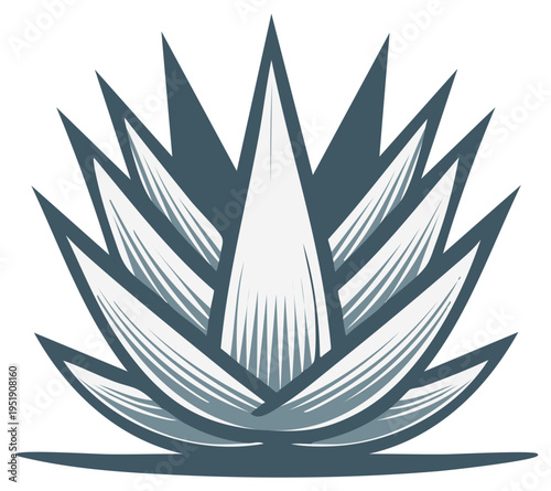 Stylized Agave Plant Illustration, Blue and White, Vector Graphic