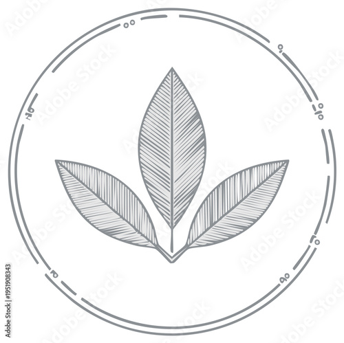 Stylized illustration of three leaves within a circular frame, representing nature and growth