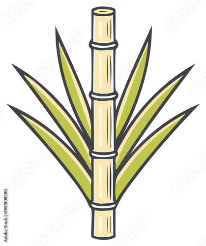 Stylized vector drawing of a bamboo stalk with leaves for Asian themes and decorative designs