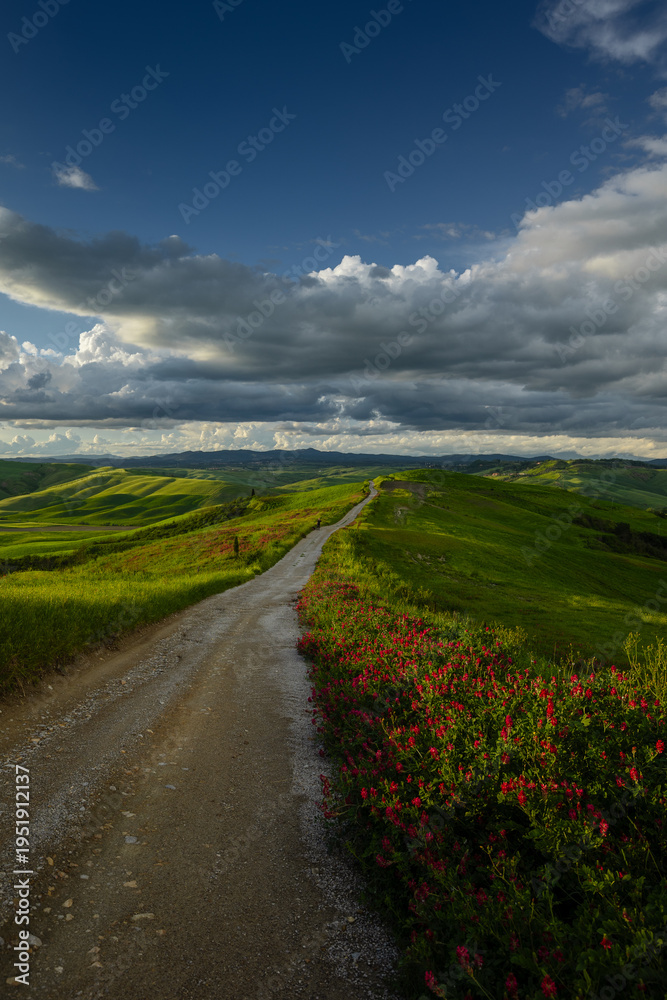 Naklejka premium Scenic view of tuscan countryside in Italy during springtime. Beautiful nature background for travel, agriculture, and tourism concepts. High-quality landscape photography.