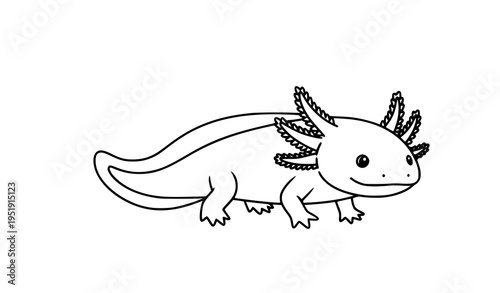 Cute axolotl outline vector