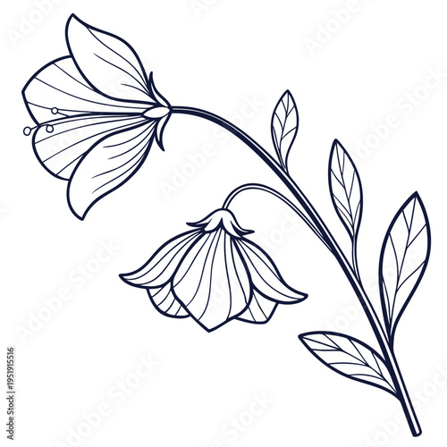 Sweet Pea Flower Monoline Vector Logo Delicate Thin vector illustration