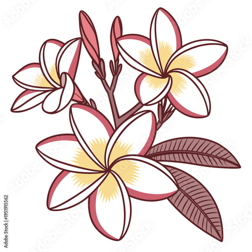 Frangipani Tropical Flower Flat Logo Smooth Round vector illustration