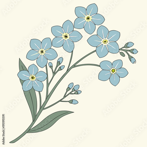 Forget Me Not Tiny Flower Cluster Flat Vector Logo vector illustration