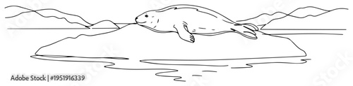Seal on iceberg one line drawing, arctic wildlife minimalist continuous line art, sea lion on ice nature landscape illustration