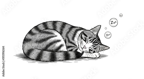 Grayscale hand drawn sleeping tabby cat illustration with Zzz bubbles EPS10 Stock.eps