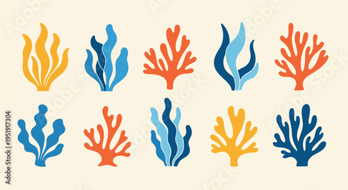 Marine Flora Collection A Dive into Ocean Biodiversity Featuring Colorful Seaweed and Aquatic Plants Depicting Marine Ecosystems and Oceanography in an Artistic Representation for Nature Lovers