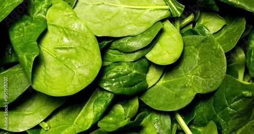 Cloesup Texture shots of Spinach