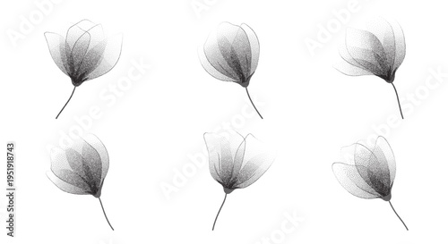 Delicate roses in pointillism stipple effect.Halftone botanical flower set with subtle spray texture.Gentle floral element with dainty aesthetic for minimal prints,posters,branding,invitations.