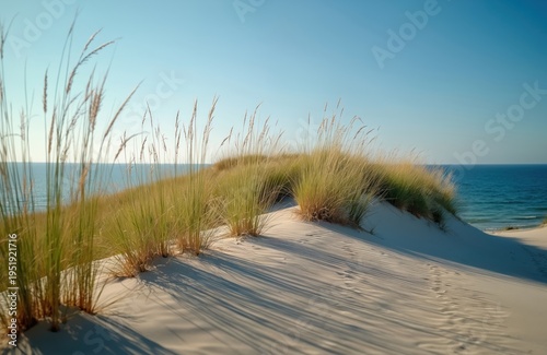 Sandy dune landscape with marram grass by the Baltic Sea. Serene ocean waters and clear sky. Natural coastal scenery with soft light and shadows.
