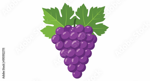 Beautiful Fresh Purple Grapes with Green Leaves Representing Healthy Eating and Fruitful Harvest Perfect for Juice Production and Delicious Dessert Recipes or as a Symbol of Wine Making or