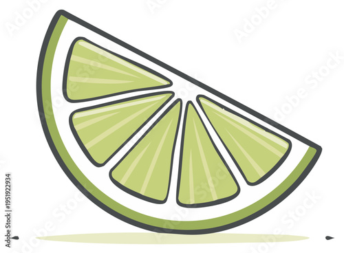 Vibrant lime wedge illustration with clear segments and a distinct green rind outline