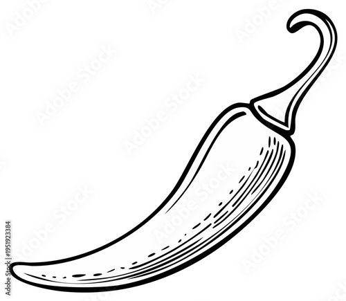 Hand Drawn Chili Pepper Illustration Single Hot Pepper Sketch Isolated Vegetable Food Ingredient Kitchen Design Element Spice