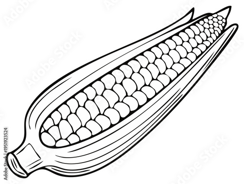 Corn on the Cob Line Art Illustration of Fresh Sweetcorn Crop Vector Drawing Isolated on White Background Coloring Book Style