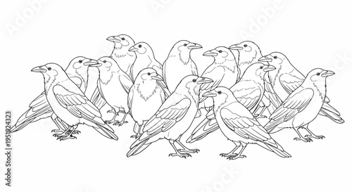 Depicting a Gathering of Avian Creatures A Line Drawing Displaying a Group of Birds Ideal for Coloring Books or Creative Projects Offering Versatility for Artistic Expression and Craft Projects
