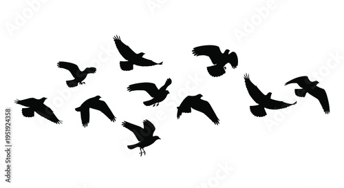 A flock of black birds are captured in mid flight against a stark white background displaying dynamic movement high quality