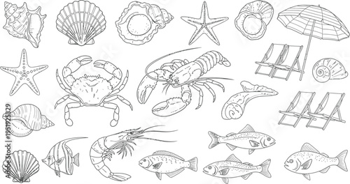 Sea Life and Beach Elements Hand Drawn Line Art Vector Set with Shells, Crab, Lobster, Fish, Shrimp and Beach Chairs