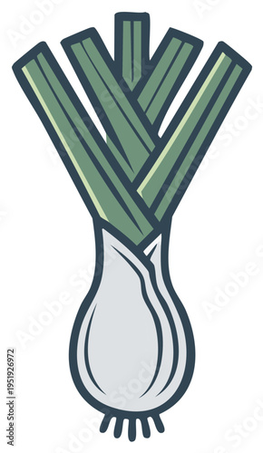 Cartoon illustration of a fresh leek vegetable with green leaves